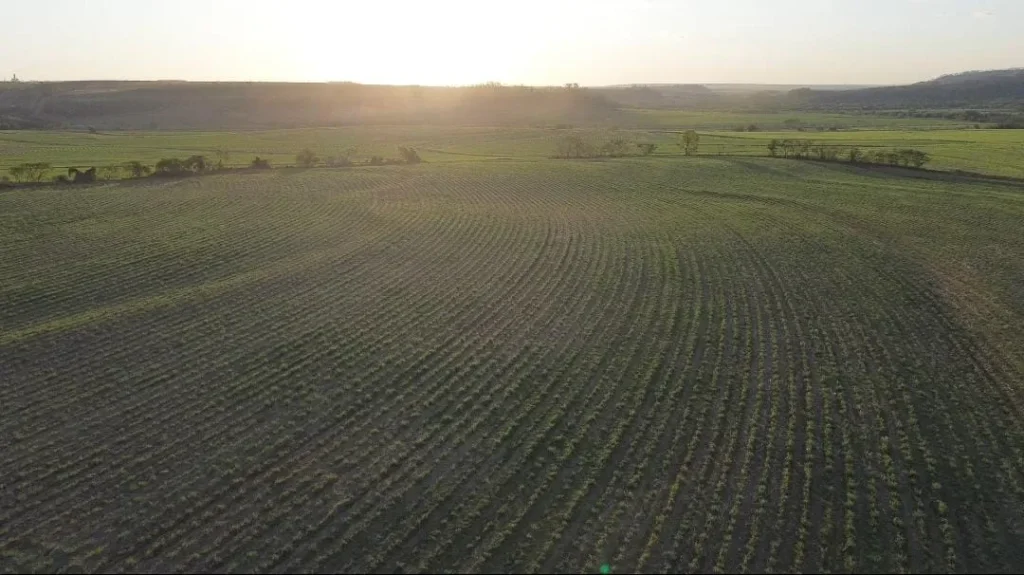 Fazenda na região de Jaú com 28 alqueires com 85% de aproveitamento, para lazer e com renda ativa (Contrato de cana vigente com a Raízen)