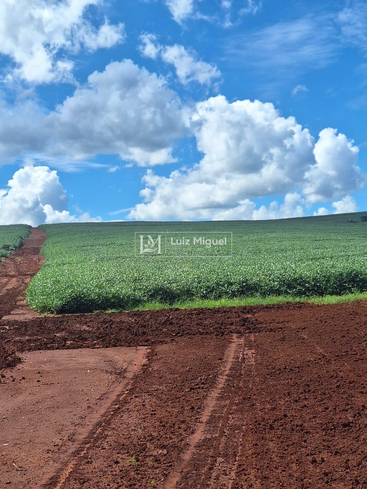 25 alqueires em Jaú com solo Terra Roxa com 95% de área plantado cana e soja própria. Livre de arrendamento (ACEITA PARCELAMENTO)