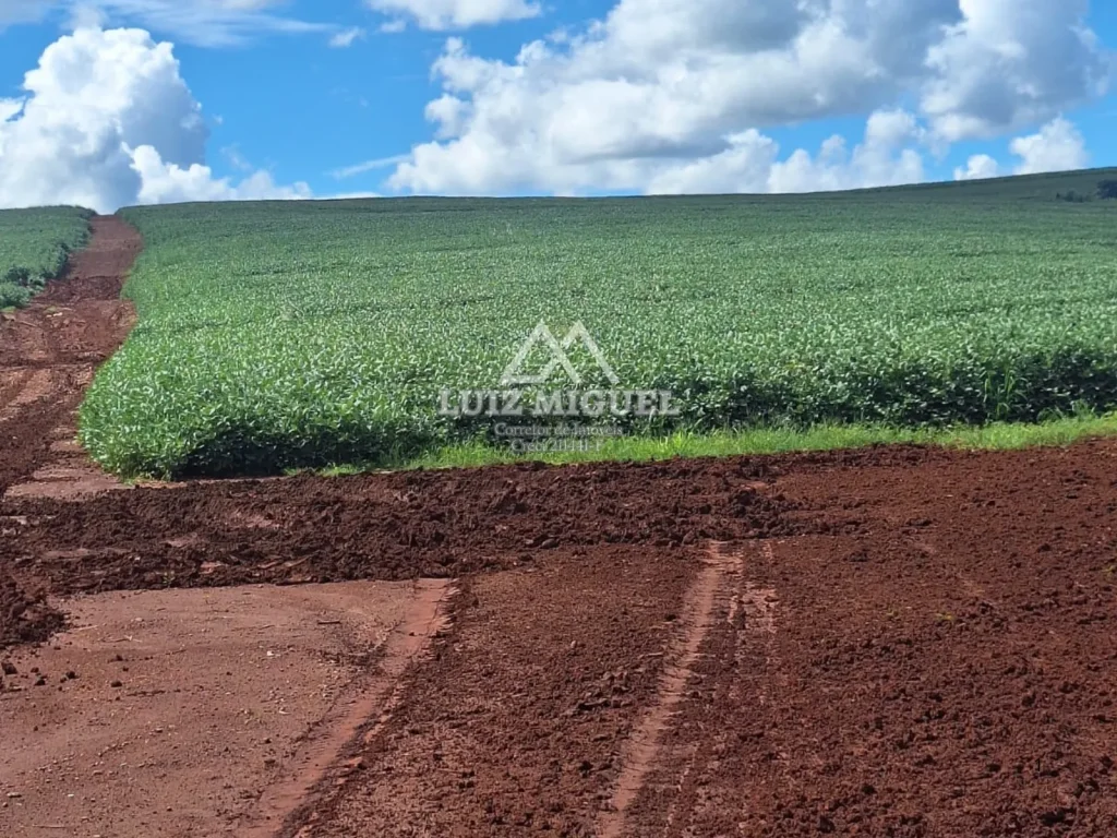25 alqueires em Jaú com solo Terra Roxa com 95% de área plantado cana e soja própria. Livre de arrendamento (ACEITA PARCELAMENTO)