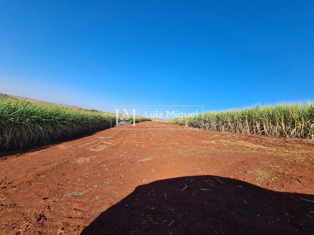 34 alqueires em Jaú com SOLO terra roxa com água e 88% de aproveitamento com 22 alqueires arrendado para Usina Raízen até 2030 por 58 toneladas (ESTUDA PRAZO PARA PAGAMENTO)