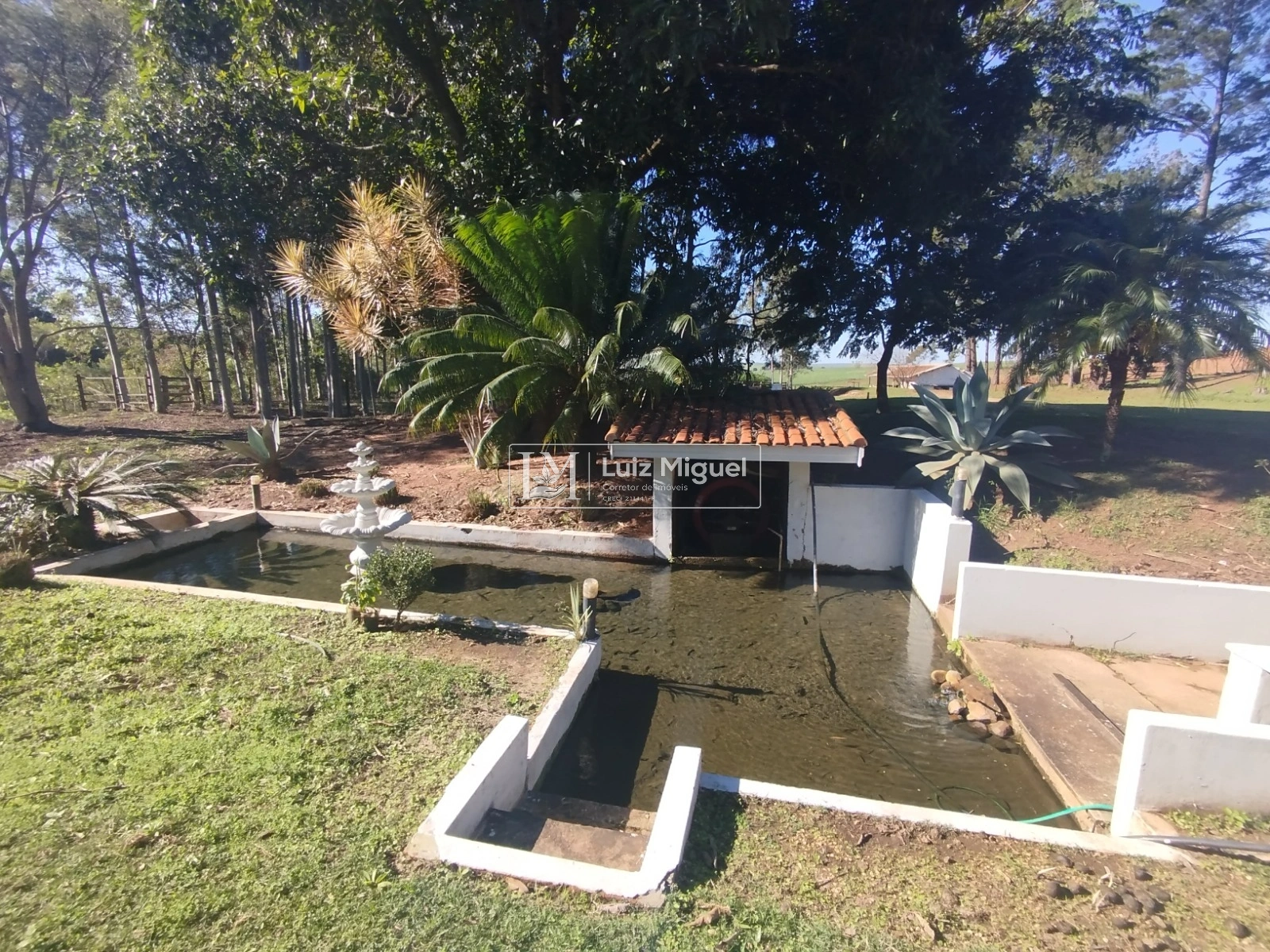 Foto 14