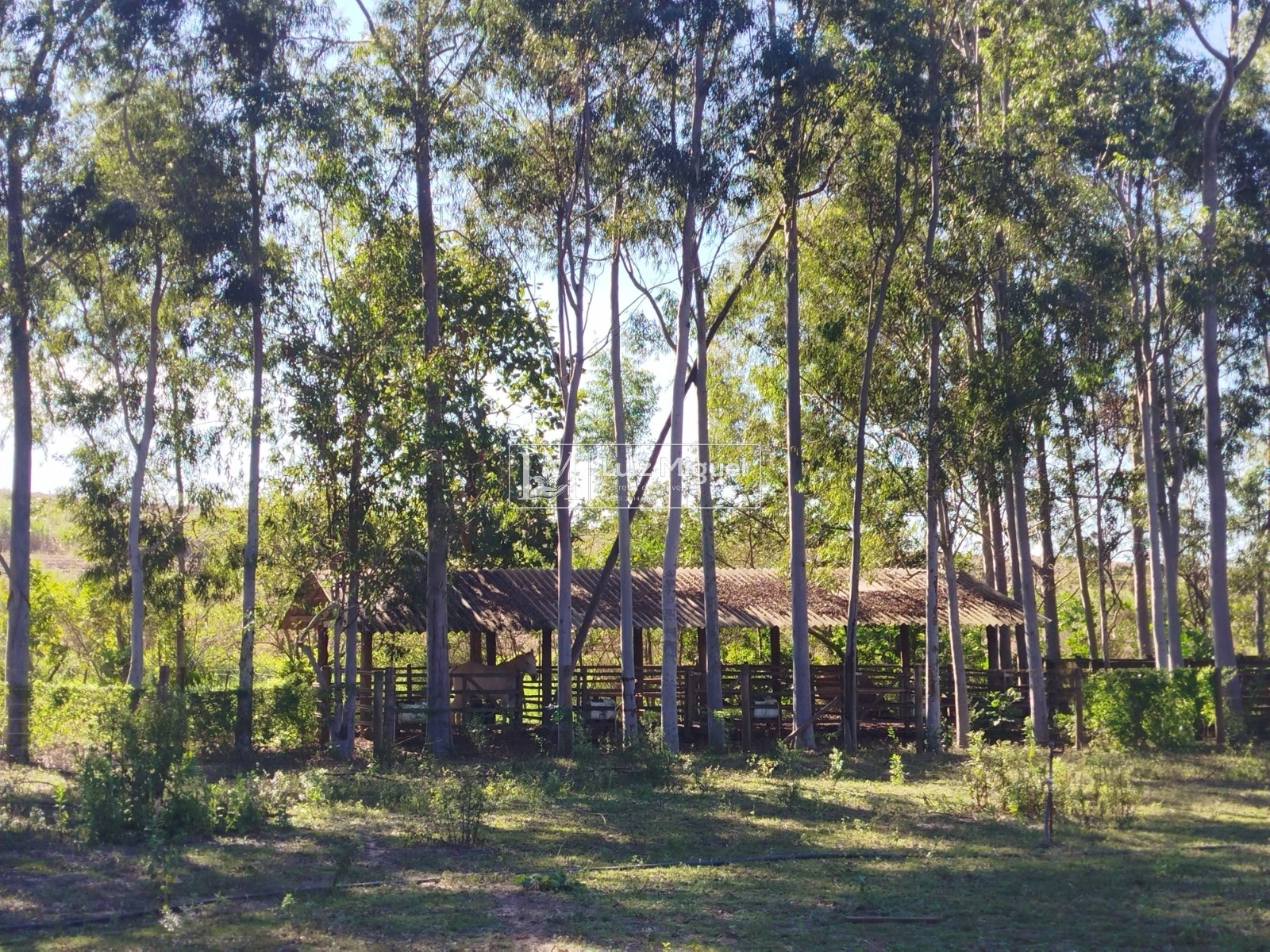 Foto 10