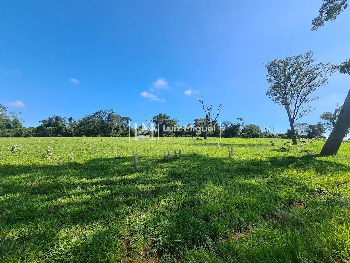 23 alqueires em RIBEIRÃO BONITO com topografia plana toda estruturada com 10 alqueires arrendados para cana por 42 toneladas, pasto formado com gado,  casa sede, casa de funcionário, galpão, curral, água em todos os pastos e próximo a cidade.